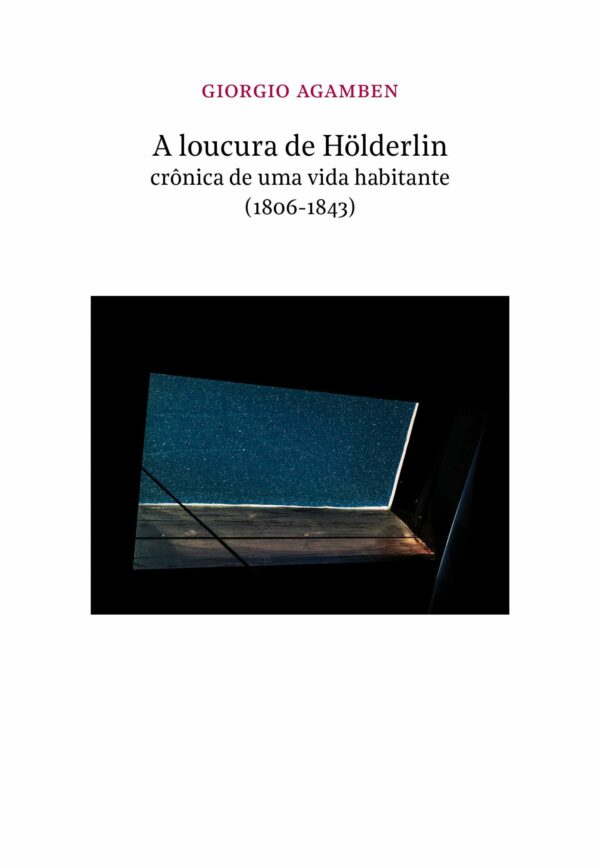 A LOUCURA DE HOLDERLIN