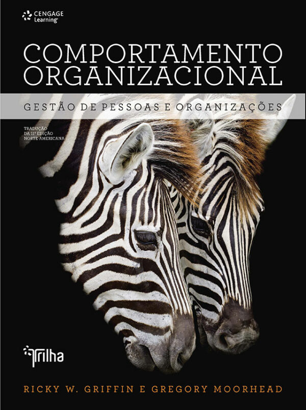 COMPORTAMENTO ORGANIZACIONAL - GESTAO DE PESSOAS E ORGANIZACOES