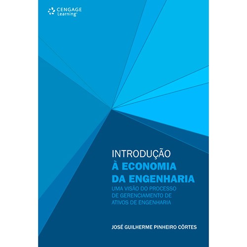 Introducao a Economia da Engenharia - Uma Visao do Processo de Gerenciament