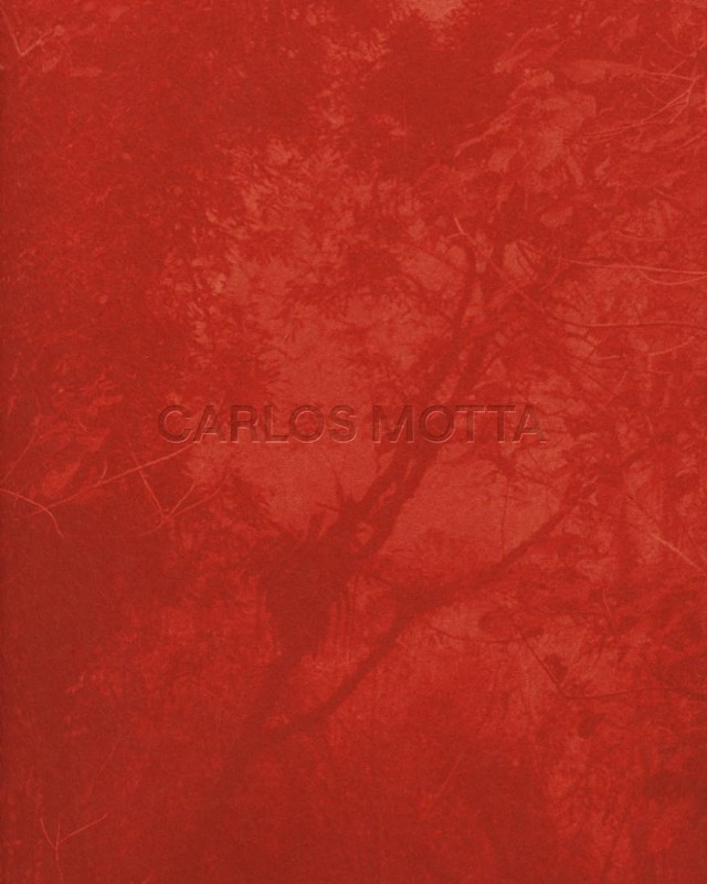 Carlos Motta