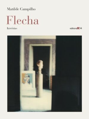 Flecha: Historias