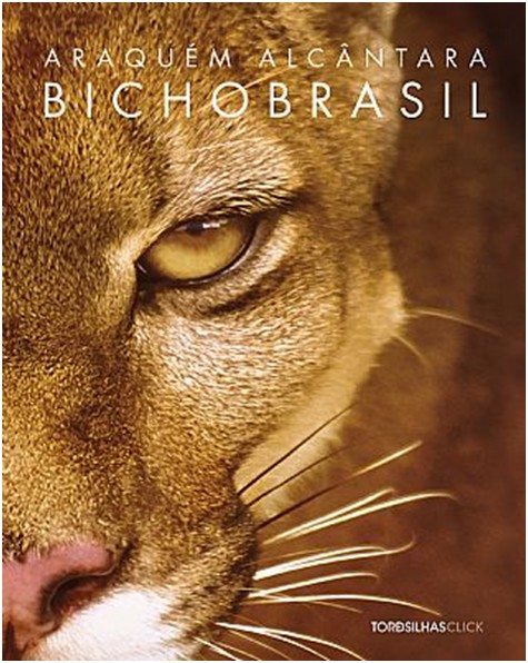 Bicho Brasil